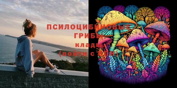меф Вяземский