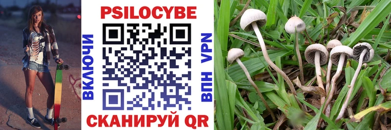 Галлюциногенные грибы Magic Shrooms  цена   Ейск 